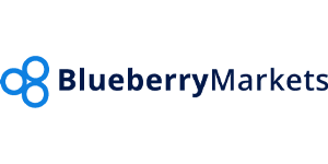 Blueberry Markets